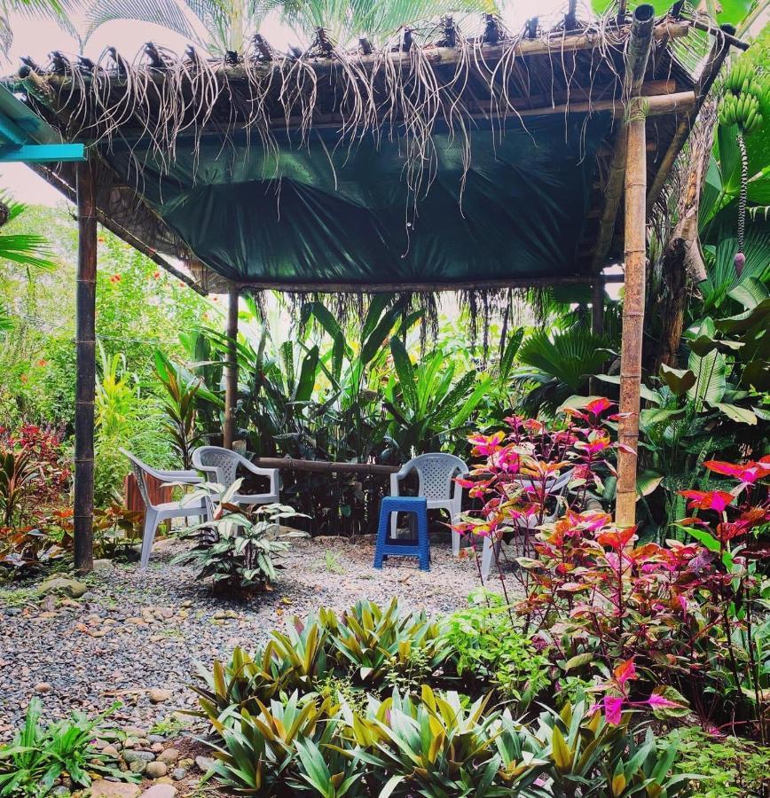Hidden Jungle Beach House Puerto Viejo de Talamanca Exterior foto