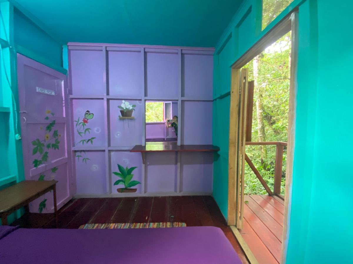 Hidden Jungle Beach House Puerto Viejo de Talamanca Exterior foto