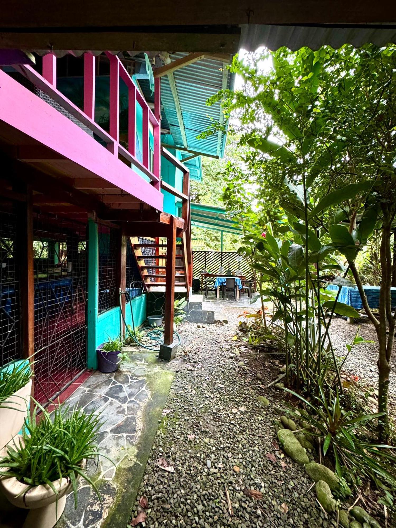 Hidden Jungle Beach House Puerto Viejo de Talamanca Exterior foto